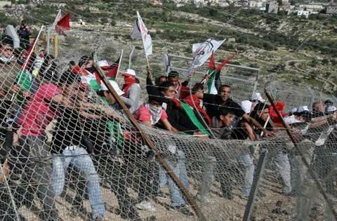 Bil'in - five years of demonstrations