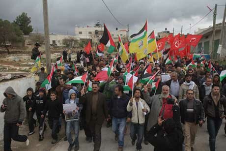 Bil'in protest over the death of Jawaher Abu Rahmah - 1 Jan 2011