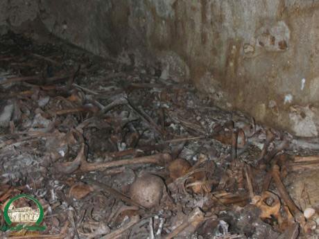 Jaffa skeletons buried in a mass grave (Photo: al-Aqsa Foundation)